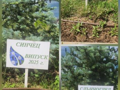 Табели